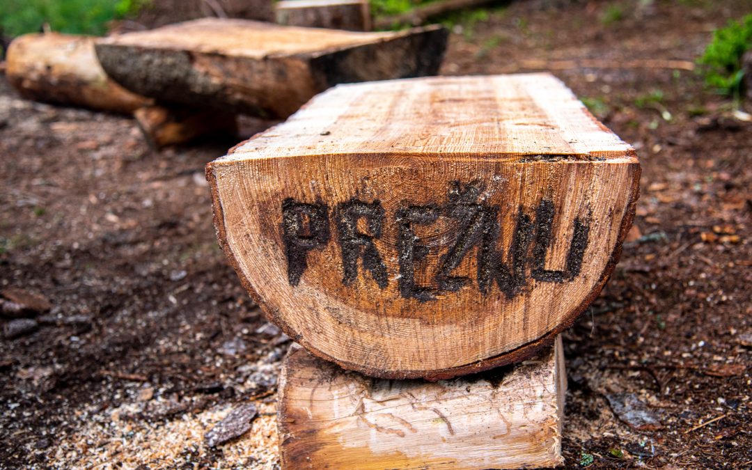 Teambuilding, po kterém už přežijeme všechno